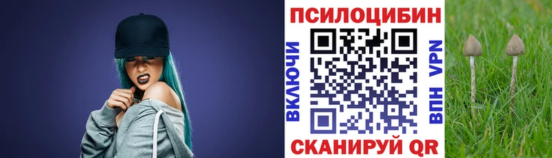 Псилоцибиновые грибы ЛСД  Купить закладки  Славск 